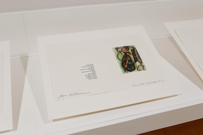 <p><em>Viewpoints: Her Story by Elizabeth Murray and Anne Waldman.</em> [installation view, Henry Art Gallery, University of Washington, Seattle]. 2018. Photo: Mark Woods
</p>
