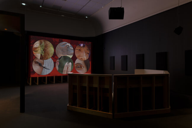 <p>Bambitchell, Installation view of&nbsp;<i>Bambitchell: Bugs & Beasts Before the Law</i>, 2021, Henry Art Gallery, University of Washington, Seattle. Photo: Jueqian Fang.</p>
