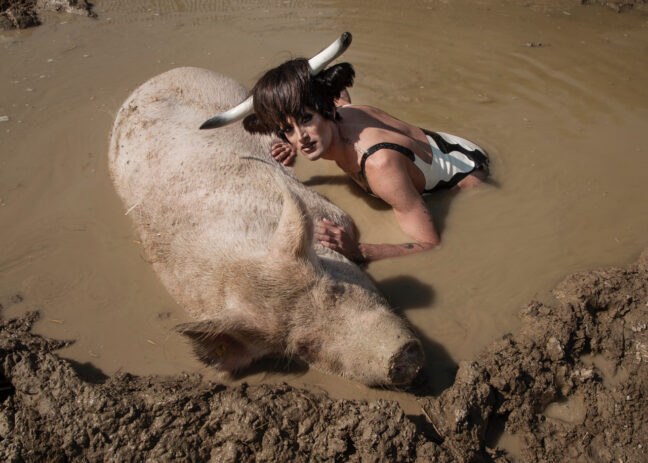 <p>Soya the Cow. Photo:&nbsp;Olivia Schenker</p>
