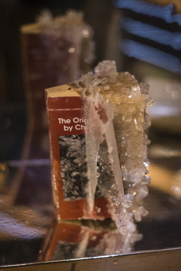 <p>Edgar Arceneaux. <i>Library of Black Lies</i>. 2016. Wood, mirrored glass, mylar, newspaper, hard-bound books, sugar crystals, lighting fixtures, audio component. [Installation view, Yerba Buena Center for the Arts, 2017]. Courtesy Yerba Buena Center for the Arts. Photo: Charlie Villyard.<br /></p>
