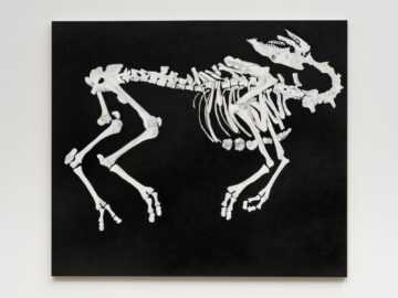 <p>Math Bass, <em>Camel Skeleton</em>, 2021. Oil on linen. Courtesy of the artist and Vielmetter Los Angeles. Photo: Jeff Mclane.</p>
