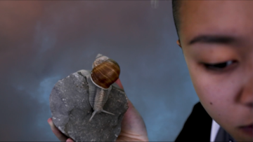 <p>Caitlin Berrigan (U.S., born 1981). <i>Imaginary Explosions</i> (video still). 2018. HD video. Image courtesy of the artist.</p>
